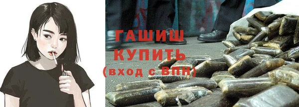 стаф Богданович