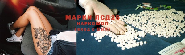 стаф Богданович