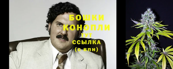 стаф Богданович