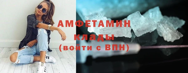стаф Богданович