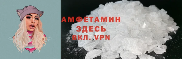 стаф Богданович