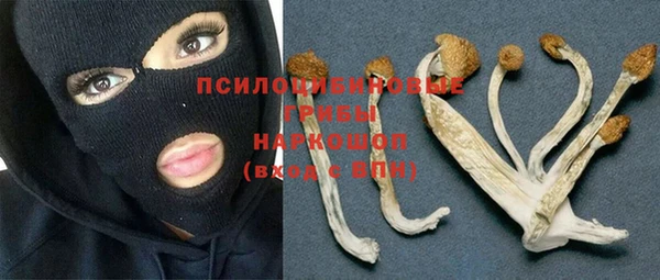 а пвп мука Богородицк