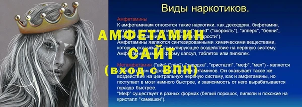 стаф Богданович