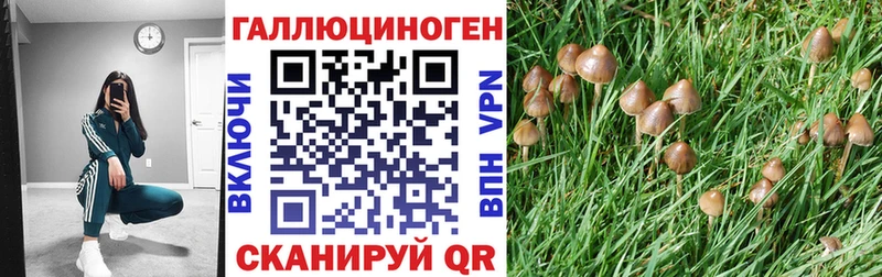 ссылка на мегу tor  Киреевск  Псилоцибиновые грибы GOLDEN TEACHER 